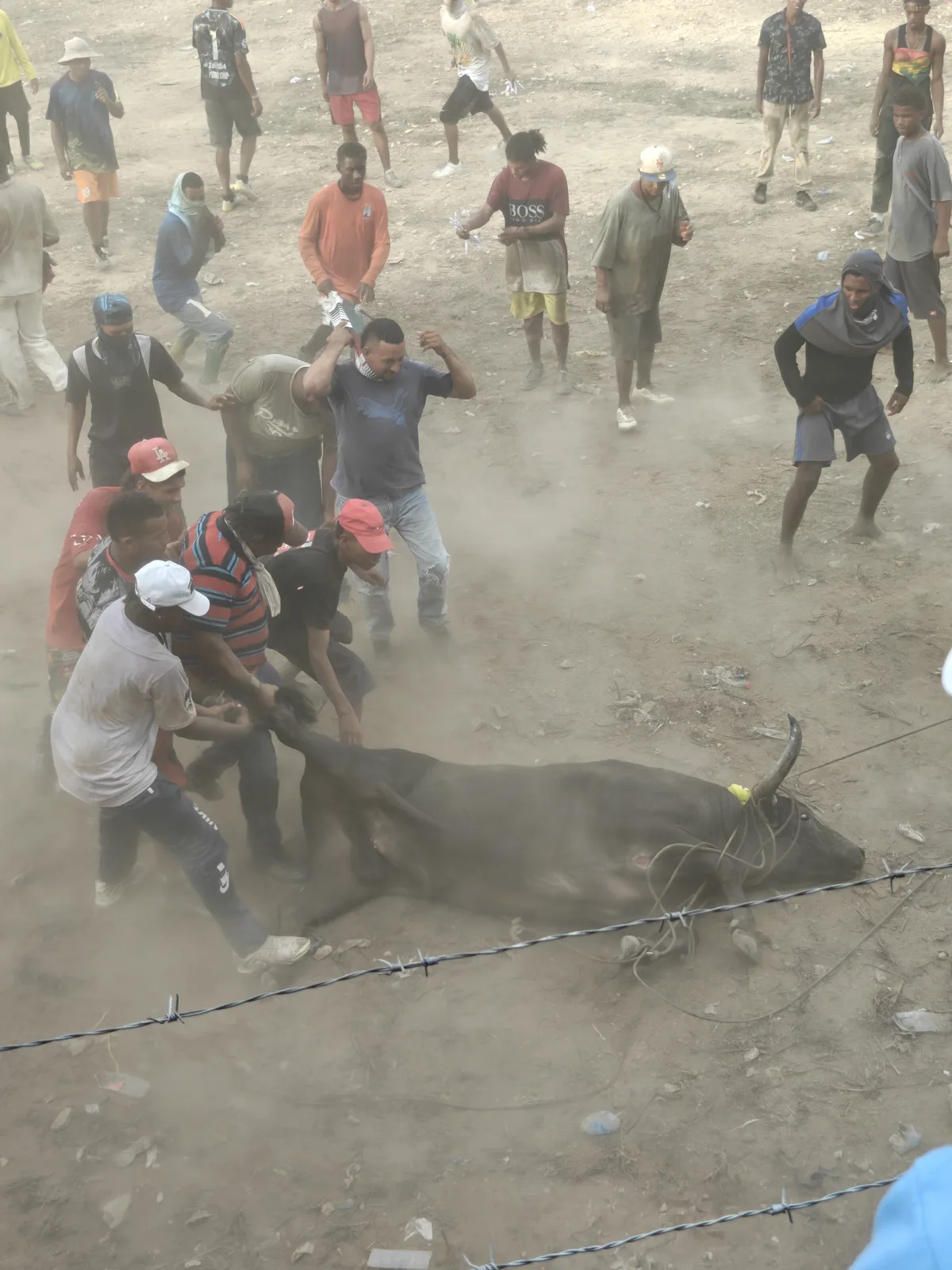 A bull loose in the ruedo as the crowd scatters.